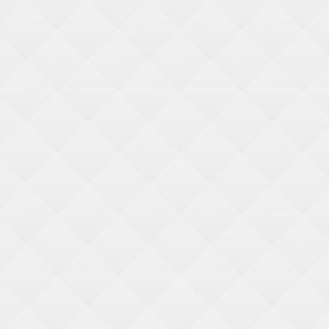 01 Precious Peach Tulips