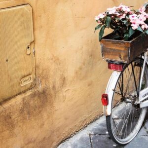 5 Reasons to Send Flowers