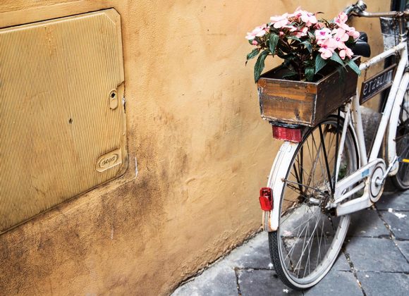 5 Reasons to Send Flowers